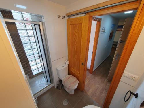 a bathroom with a toilet and a walk in shower at 3E, 56m2, Aire Acond, 1 dormit, 4 huéspedes, WIFI GRATIS in La Línea de la Concepción