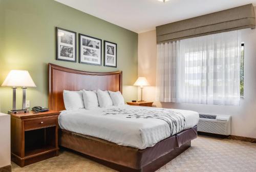 a hotel room with a bed and a window at Sleep Inn & Suites in Gettysburg
