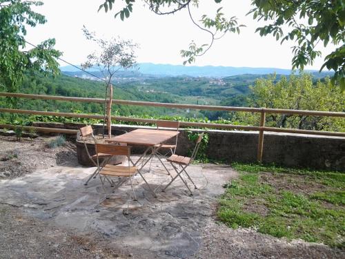 
a wooden bench sitting on top of a lush green hillside at Pri Bregarju in Podsabotin
