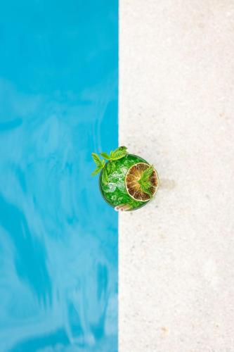a half of a lime on the side of a pool at LA FERME DE LA HUPPE in Gordes
