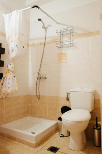a bathroom with a toilet and a tub and a shower at Finikas Apartments in Plakias