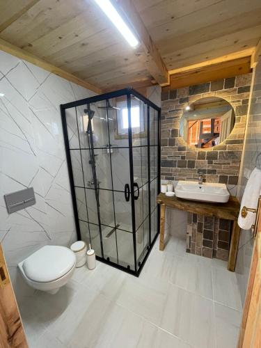 a bathroom with a shower and a toilet and a sink at Nozona Villa-Dağ Evleri in Çamlıhemşin