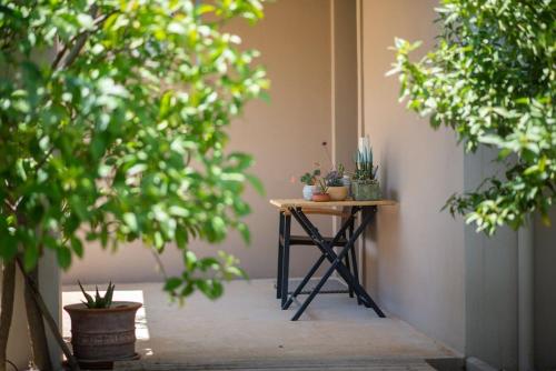 a small table with potted plants on top of it at Sea Whisper Villa Peloponnese in Arkadiko Chorio