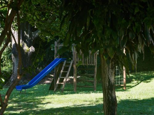 a playground with a blue slide next to a tree at B&B At 66 Henderson in Claredon