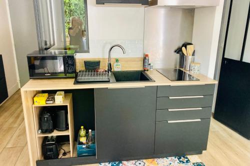 une cuisine avec un comptoir avec un évier et un micro-ondes dans l'établissement Cosy and refined 1-bedroom apartment with garden, à La Rochelle