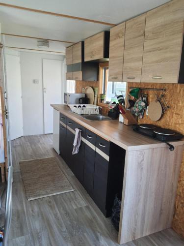 a kitchen with a sink and a counter top at Mobilheim v LVA 2 in Podivín