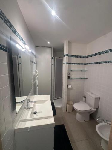 une salle de bain avec un lavabo, des toilettes et un miroir dans l'établissement Appartement DU MAS, à Saint-Florent