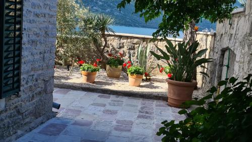 a group of potted plants inront of a stone wall at Villa Toma in Donji Morinj