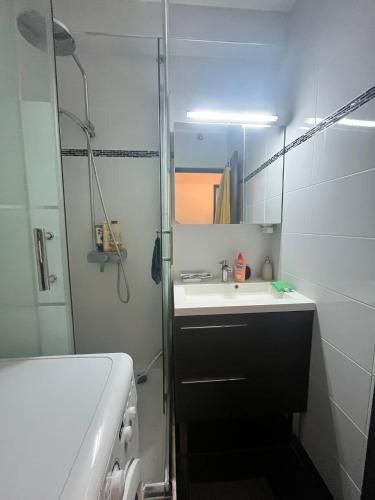 une salle de bain avec un lavabo et une douche avec un miroir dans l'établissement Au Point Carré - Appartement tout confort au calme, à Bordeaux