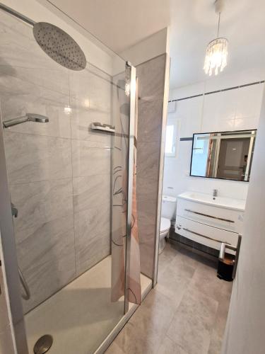 une salle de bain avec une douche, des toilettes et un lavabo dans l'établissement 2 pièces en rez-de-villa avec beau jardin près plage, à Hyères
