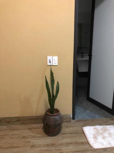 a plant in a pot on the floor in a bathroom at 1579 Homestay Sapa - Venuestay in Sa Pa