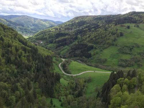 a winding road in a green valley with trees at Saunaparadies Black Forest in Löffingen