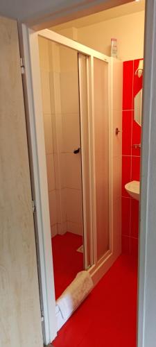 a bathroom with a shower with a wooden door at Ubytování U Sklepů in Kyjov