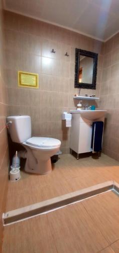 a bathroom with a toilet and a sink and a mirror at Boemul Neptun in Neptun