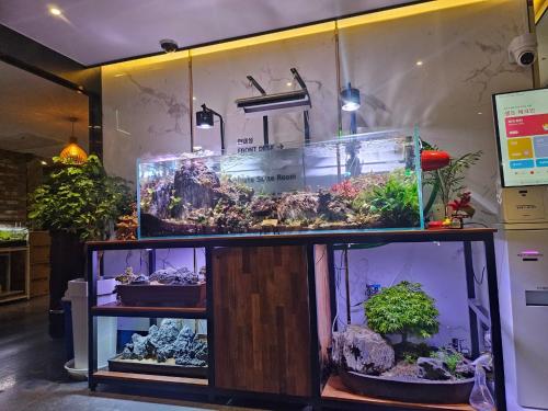 Φωτογραφία από το άλμπουμ του Awesome Boutique Hotel σε Gwangju