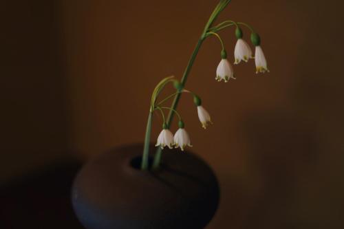 a bunch of white flowers in a black vase at 塩釜バケーションレンタル Sora No Oka in Shiogama