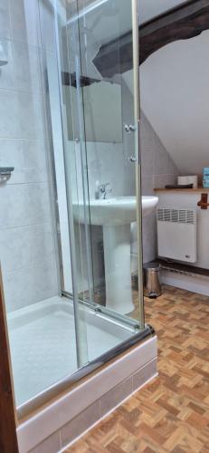 a bathroom with a shower and a sink at La Maison Neuve Gîtes in Madré