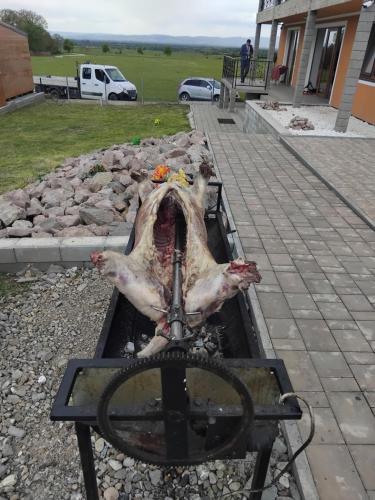 a dead animal in a pool of water at Casa Jazmin Covasna in Covasna