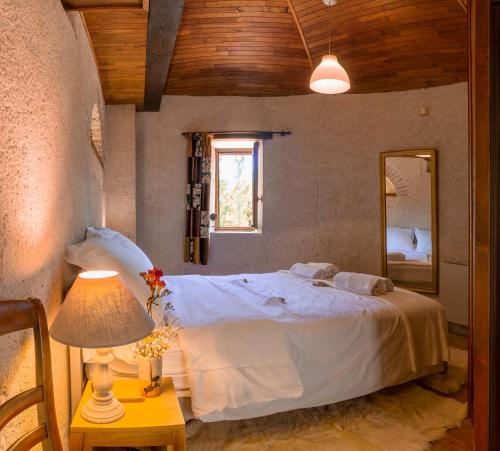 a bedroom with a bed and a mirror and a lamp at Lacoume Saint Jacques in Auch