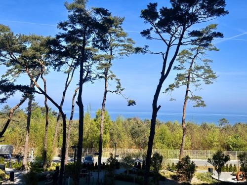 Naturlandskabet i nærheden af lejligheden