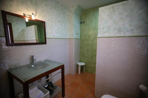 a bathroom with a sink and a mirror and a shower at Hotel Rural Los Abriles in El Toro