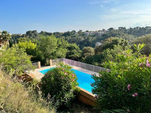 une image d'une piscine dans un jardin dans l'établissement Maison calme sur la côte d'azur, à La Celle-sous-Gouzon