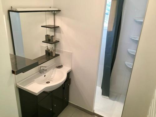 une salle de bain avec un lavabo et un miroir dans l'établissement La terrasse des Marais, à Dolus-d'Oléron