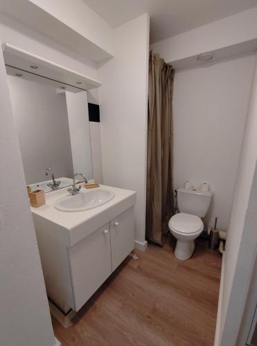 une salle de bain avec un lavabo et des toilettes dans l'établissement Studio proche remparts, à Avignon