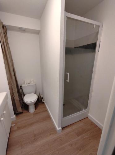 La salle de bains est pourvue de toilettes et d'une porte de douche en verre. dans l'établissement Studio proche remparts, à Avignon