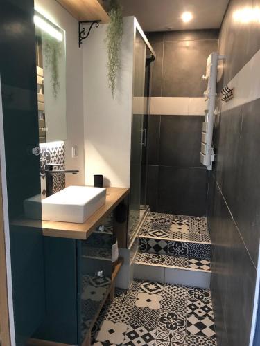 une salle de bain avec un lavabo et une douche dans l'établissement Port La Cotinière 100m plage et commerces, à Saint-Pierre-dʼOléron