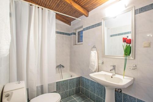 a bathroom with a sink and a toilet and a window at Villa Du Vignoble in Zakynthos Town