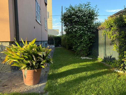 a yard with a potted plant and a fence at Da Alice in Montale