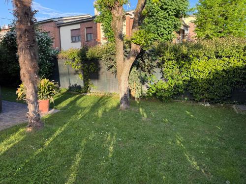 two trees in the grass in a yard at Da Alice in Montale
