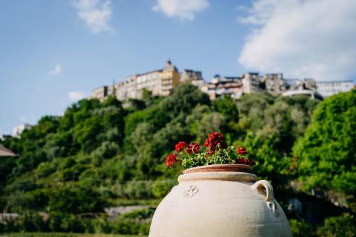 a vase with flowers in it sitting on a hill at Tenuta Le Tre Rose in Vibonati