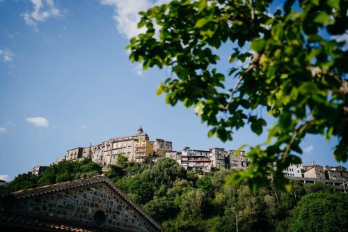 a group of buildings on top of a hill at Tenuta Le Tre Rose in Vibonati
