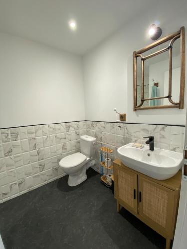 a bathroom with a toilet and a sink and a mirror at Joli Studio Dépendance Lectoure Intra-muros in Lectoure