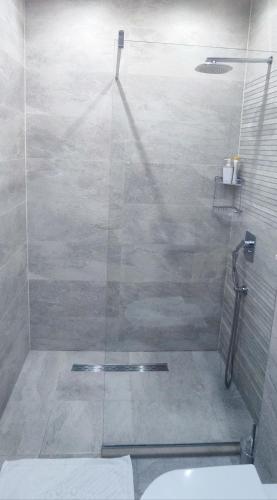 a shower with a glass door in a bathroom at Villa Marijeta Hvar in Hvar