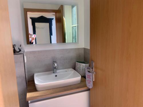 a bathroom with a sink and a mirror at Reeser Schatzkästchen in Rees