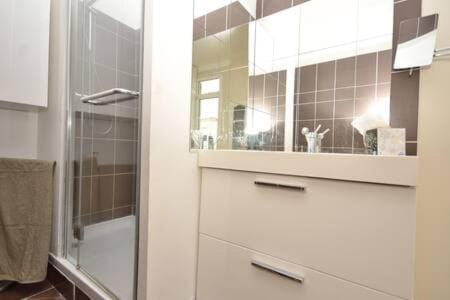 une salle de bain avec une douche en verre et un lavabo dans l'établissement La Terrasse 4 Cannes French Riviera, à Cannes