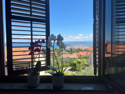 Villa Maris Izola