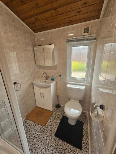 a small bathroom with a toilet and a sink at Ocean View Lodge - Sea Views & Decking in Ilfracombe