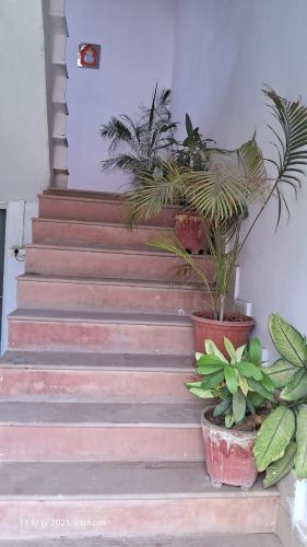 Фотография из галереи Green male rooms в Бхопале
