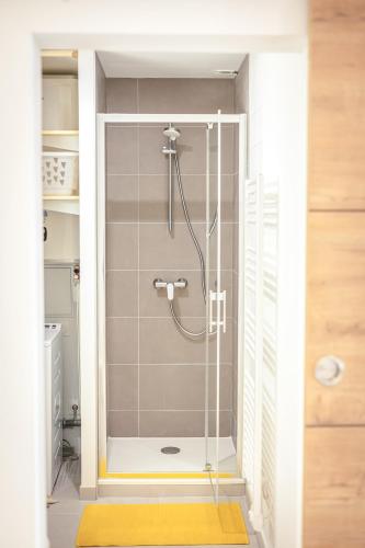 une douche avec une porte vitrée dans une salle de bain dans l'établissement Le Marcel, pretty 1 room apartment next to Antique Theater, à Vienne