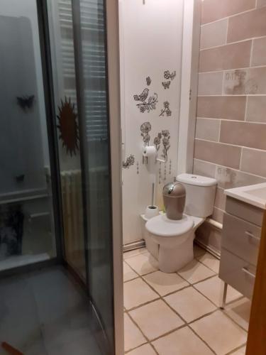 une salle de bain avec toilettes et douche avec des autocollants sur les murs dans l'établissement Appart la Percep, à La Tour-dʼAuvergne