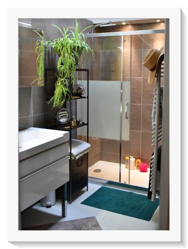 La salle de bains est pourvue d'un lavabo et d'une douche avec des plantes. dans l'établissement La belle provençale, à Saint-André-de-Roquepertuis