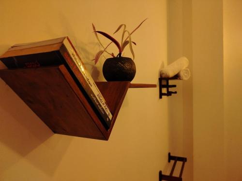a wooden shelf with a plant on a wall at Diora Hotel in Ratnapura