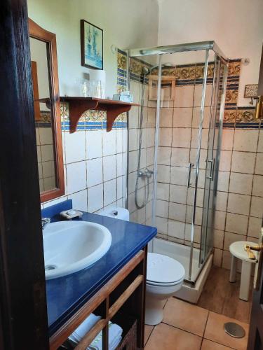 a bathroom with a sink and a toilet and a shower at Casa Rural Sanjora in Valverde