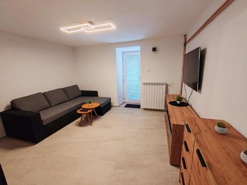 Μια τηλεόραση ή/και κέντρο ψυχαγωγίας στο Apartments Stella Vittoria