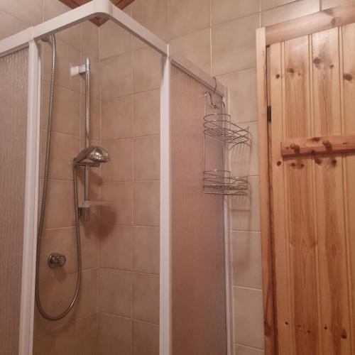 a shower in a bathroom with a glass door at Casa JOY in Sella Nevea
