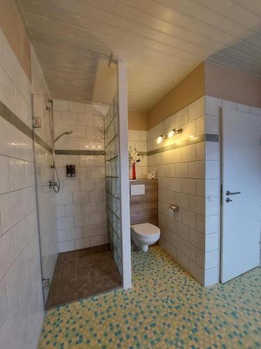 a bathroom with a shower and a toilet in it at Roschi's Gästehaus in Gudow